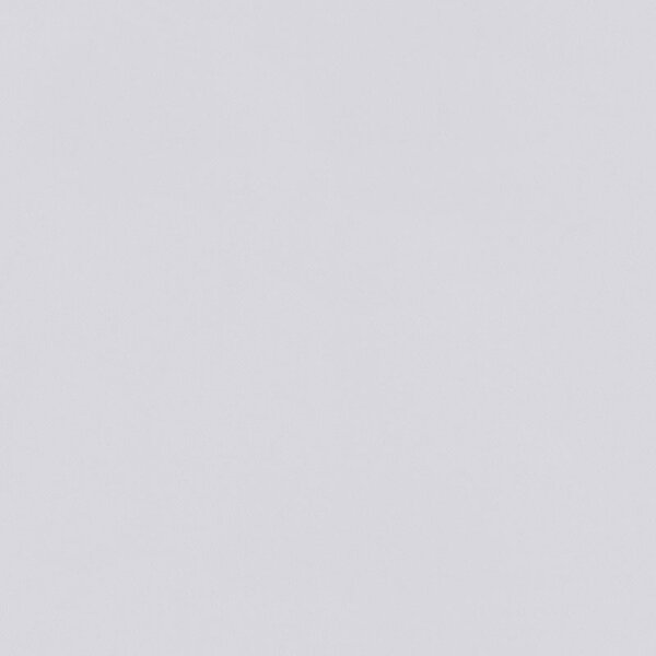 ERFURT Variovlies Plano Superweiss 20 x 0,53 m, Karton (6 x Rolle)