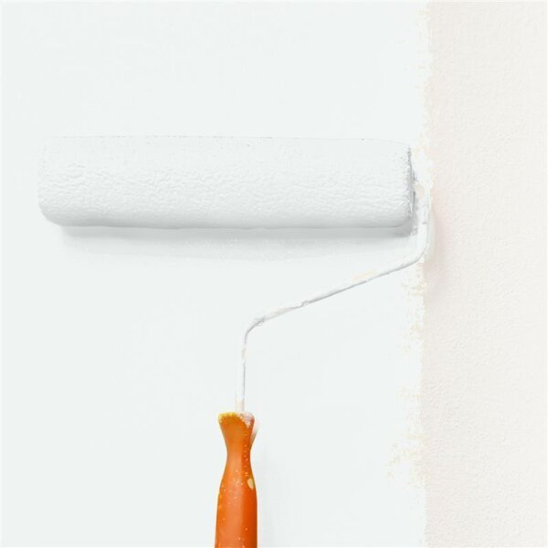 Wandfarbe Matt NCS-S-0502-G WALLCOVER Colors