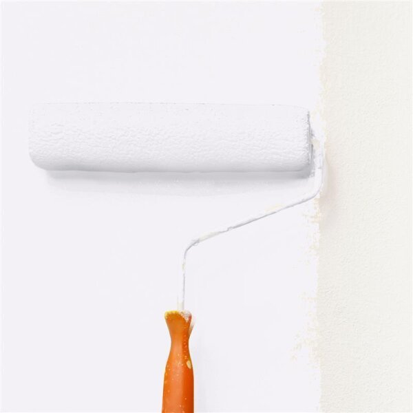 Wandfarbe Matt NCS-S-0502-R50B WALLCOVER Colors