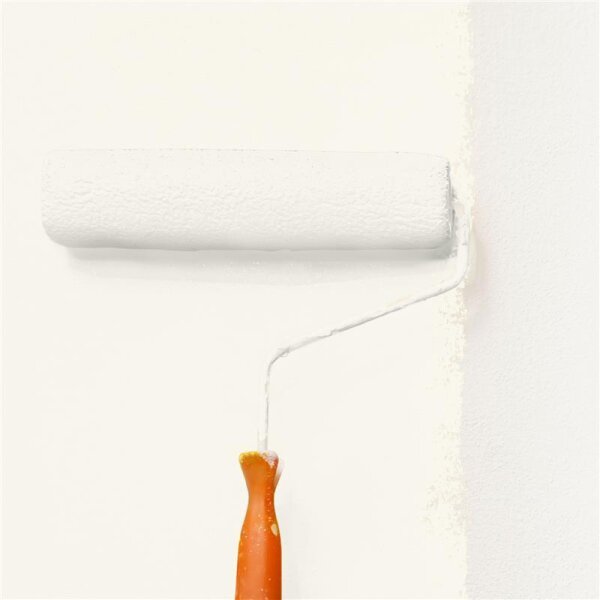 Wandfarbe Matt NCS-S-0502-Y20R WALLCOVER Colors