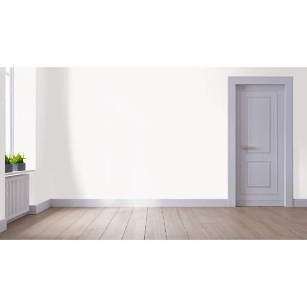 Wandfarbe Matt NCS-S-0502-Y80R WALLCOVER Colors
