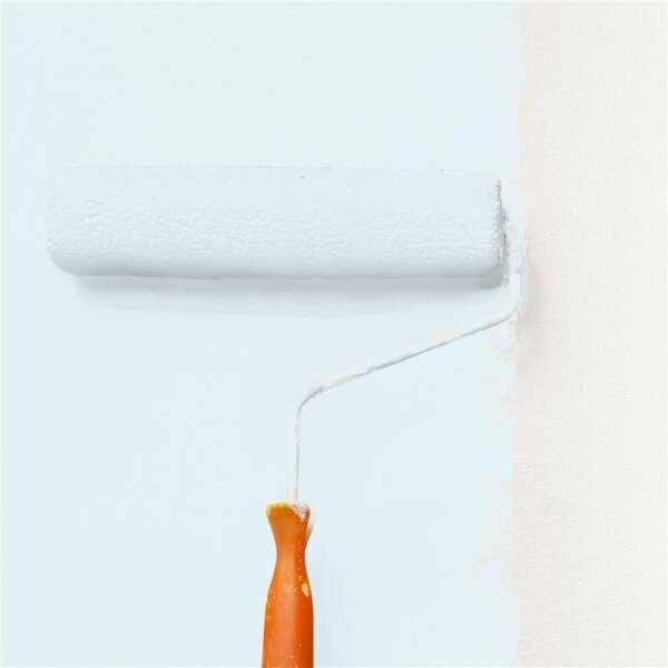 Wandfarbe Matt NCS-S-0505-B WALLCOVER Colors