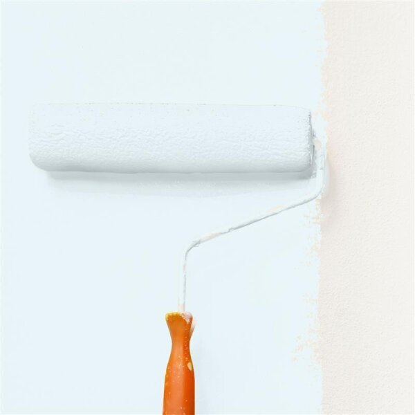 Wandfarbe Matt NCS-S-0505-B20G WALLCOVER Colors