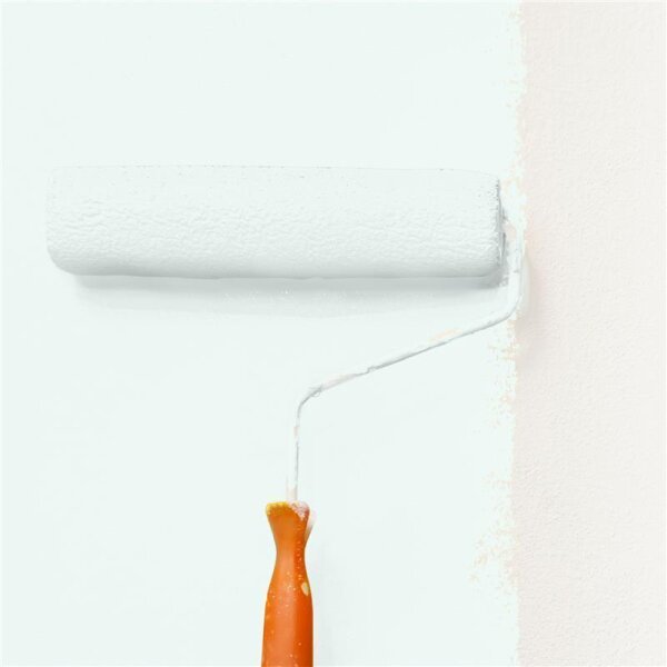 Wandfarbe Matt NCS-S-0505-B80G WALLCOVER Colors