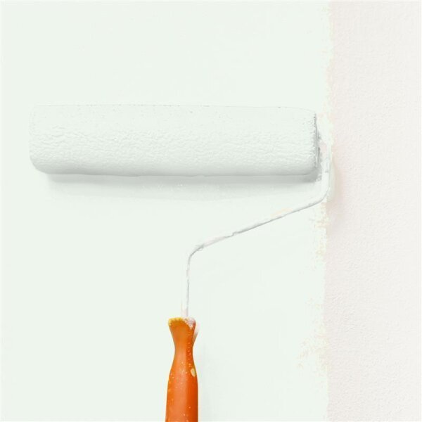 Wandfarbe Matt NCS-S-0505-G20Y WALLCOVER Colors