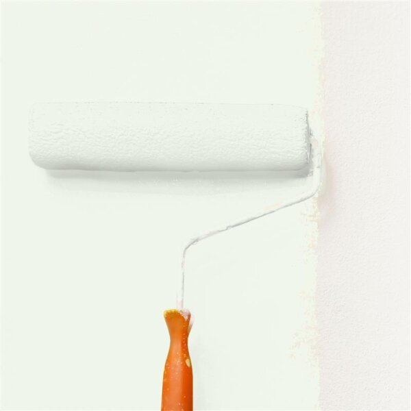Wandfarbe Matt NCS-S-0505-G30Y WALLCOVER Colors
