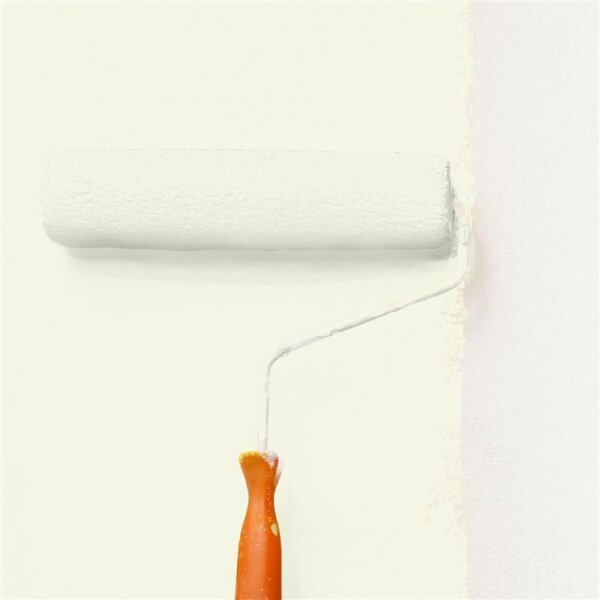 Wandfarbe Matt NCS-S-0505-G70Y WALLCOVER Colors