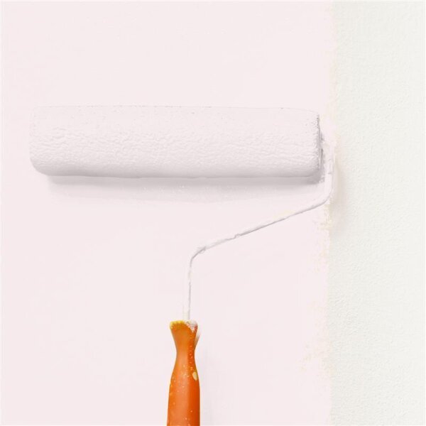 Wandfarbe Matt NCS-S-0505-R10B WALLCOVER Colors