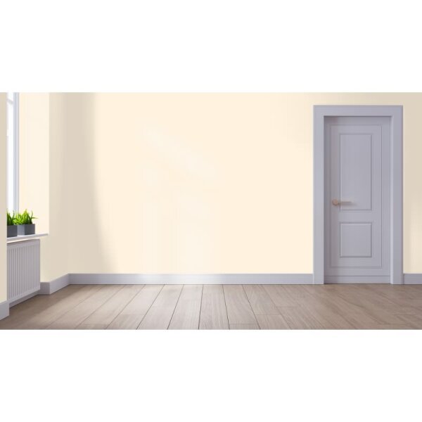 Wandfarbe Matt NCS-S-0505-Y40R WALLCOVER Colors