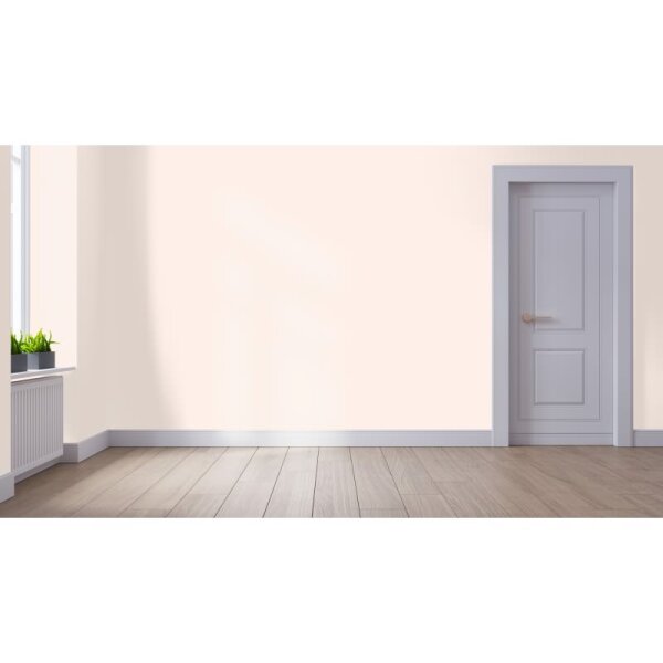 Wandfarbe Matt NCS-S-0505-Y70R WALLCOVER Colors