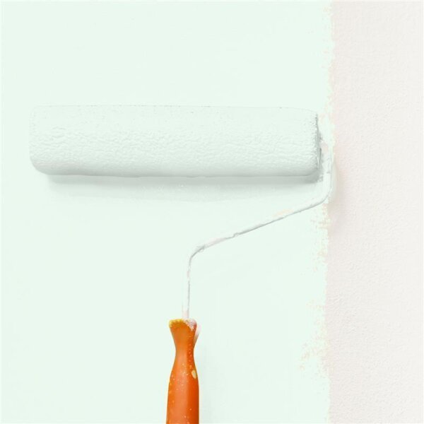 Wandfarbe Matt NCS-S-0507-G WALLCOVER Colors