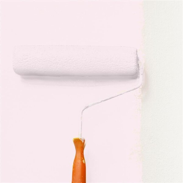 Wandfarbe Matt NCS-S-0507-R20B WALLCOVER Colors