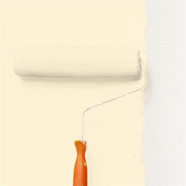 Wandfarbe Matt NCS-S-0507-Y20R WALLCOVER Colors