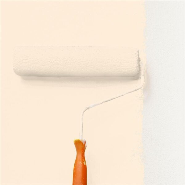 Wandfarbe Matt NCS-S-0507-Y40R WALLCOVER Colors