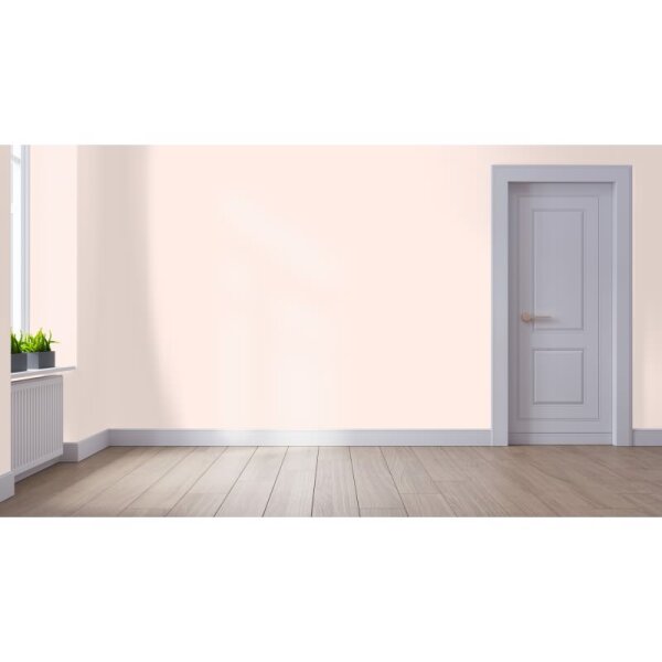 Wandfarbe Matt NCS-S-0507-Y80R WALLCOVER Colors