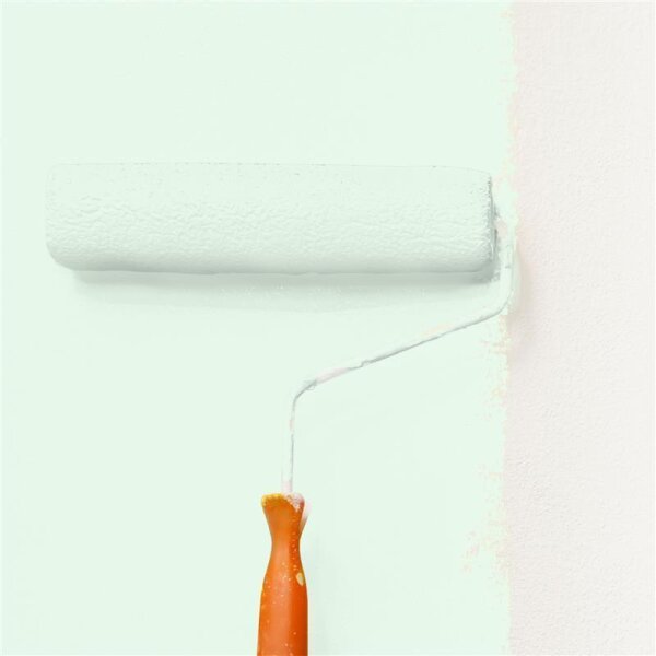 Wandfarbe Matt NCS-S-0510-G10Y WALLCOVER Colors