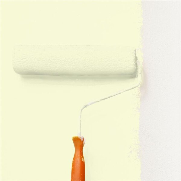 Wandfarbe Matt NCS-S-0510-G70Y WALLCOVER Colors