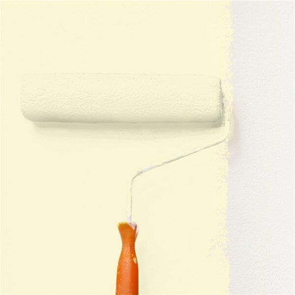 Wandfarbe Matt NCS-S-0510-G90Y WALLCOVER Colors