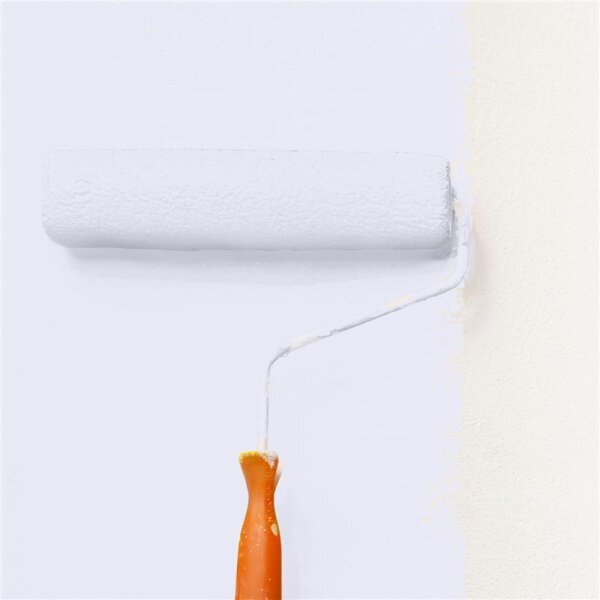 Wandfarbe Matt NCS-S-0510-R60B WALLCOVER Colors
