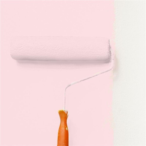 Wandfarbe Matt NCS-S-0515-R10B WALLCOVER Colors