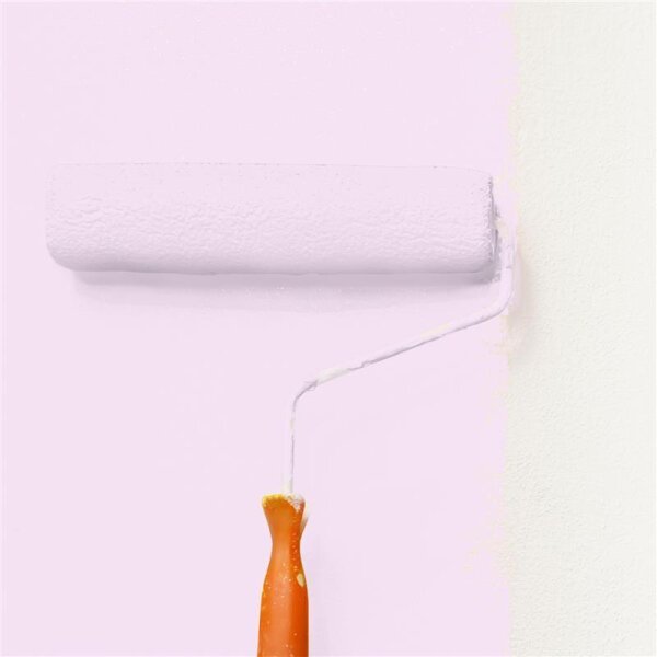 Wandfarbe Matt NCS-S-0515-R40B WALLCOVER Colors