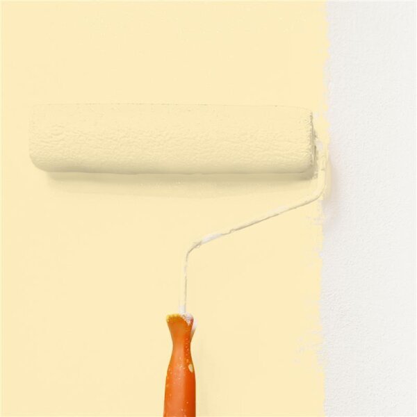 Wandfarbe Matt NCS-S-0515-Y10R WALLCOVER Colors