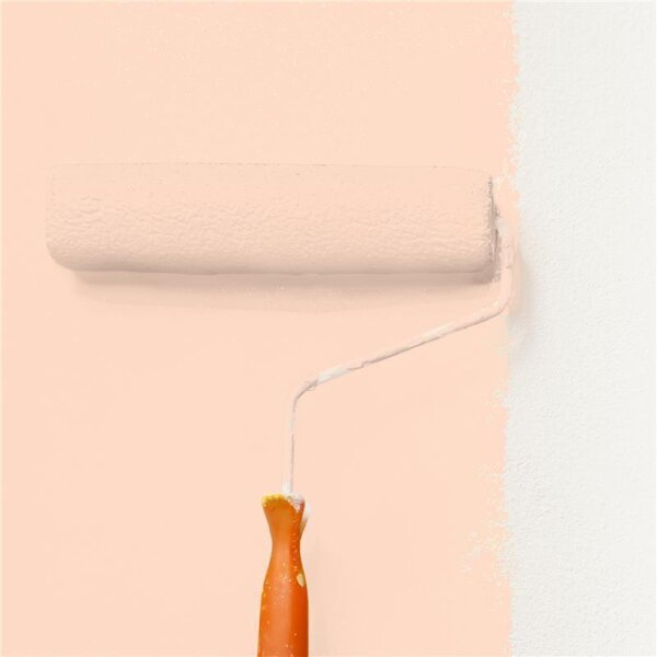 Wandfarbe Matt NCS-S-0515-Y60R WALLCOVER Colors