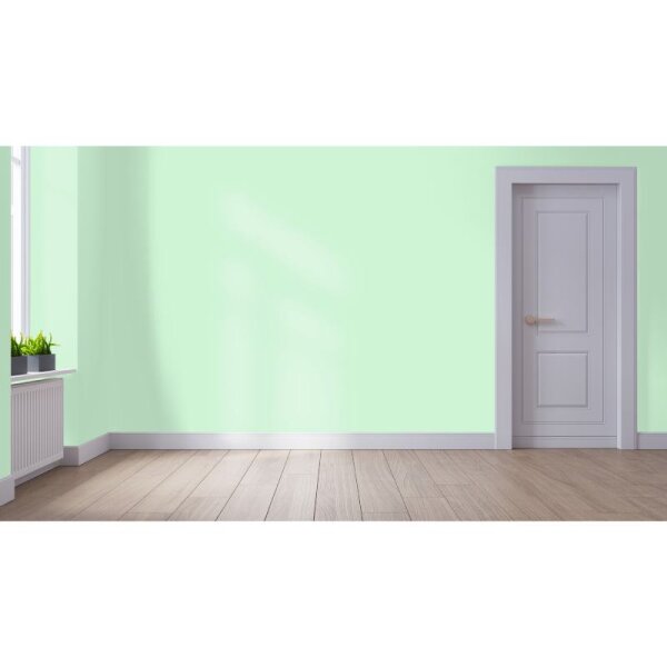 Wandfarbe Matt NCS-S-0520-G10Y WALLCOVER Colors