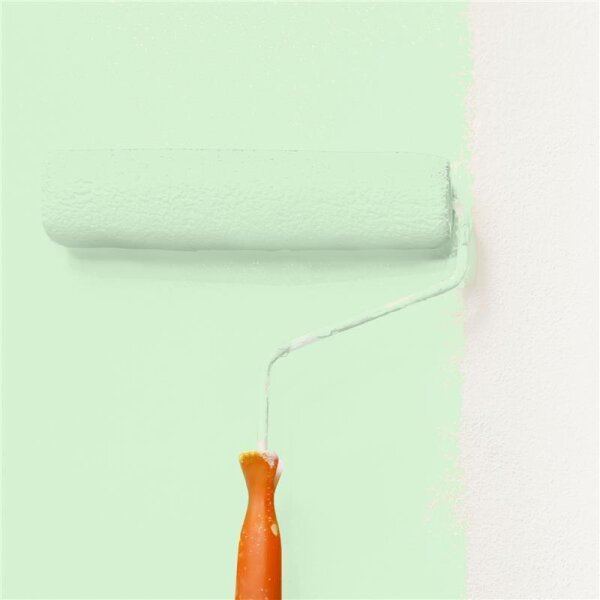Wandfarbe Matt NCS-S-0520-G20Y WALLCOVER Colors