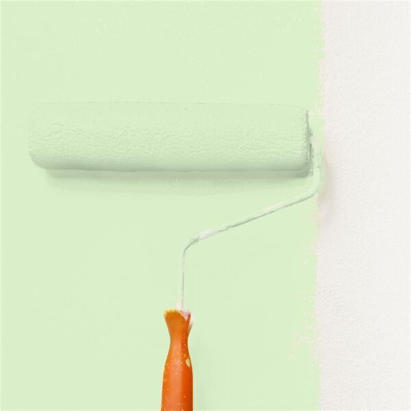 Wandfarbe Matt NCS-S-0520-G30Y WALLCOVER Colors