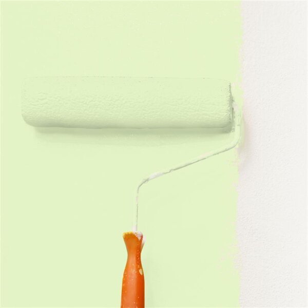 Wandfarbe Matt NCS-S-0520-G40Y WALLCOVER Colors