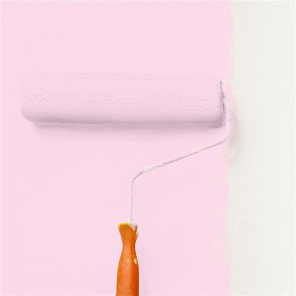Wandfarbe Matt NCS-S-0520-R30B WALLCOVER Colors
