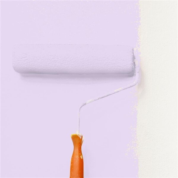 Wandfarbe Matt NCS-S-0520-R50B WALLCOVER Colors