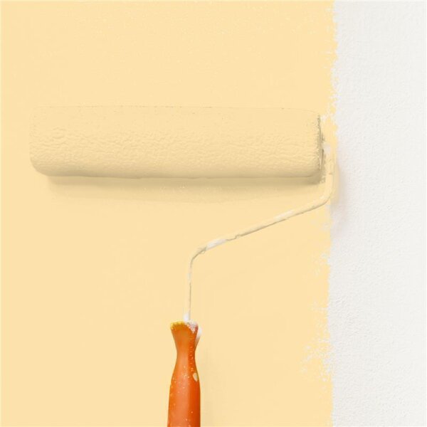 Wandfarbe Matt NCS-S-0520-Y20R WALLCOVER Colors
