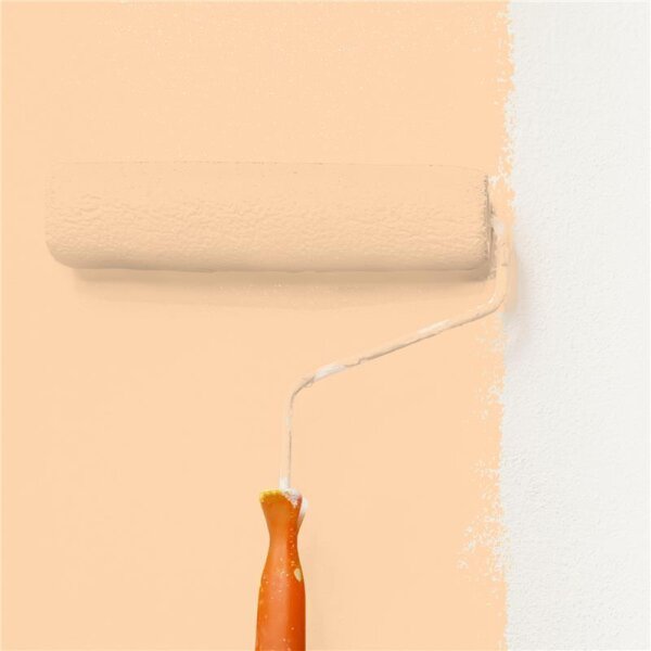 Wandfarbe Matt NCS-S-0520-Y40R WALLCOVER Colors