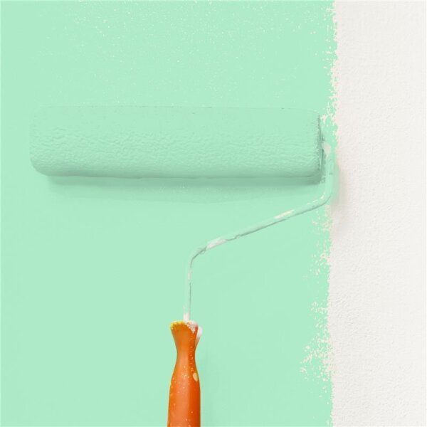 Wandfarbe Matt NCS-S-0530-G WALLCOVER Colors