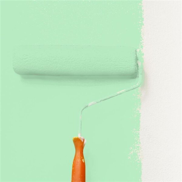 Wandfarbe Matt NCS-S-0530-G10Y WALLCOVER Colors