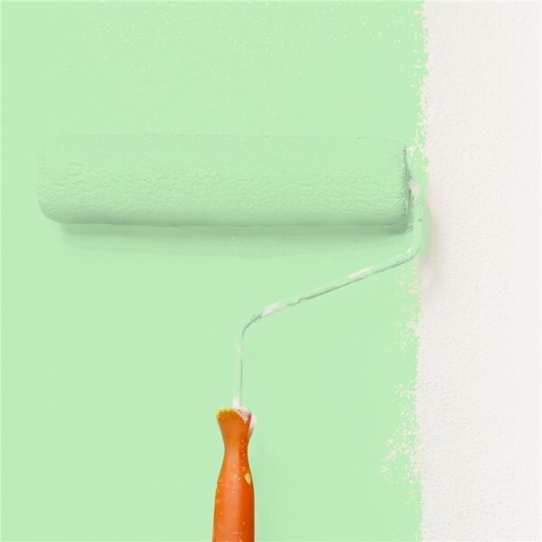Wandfarbe Matt NCS-S-0530-G20Y WALLCOVER Colors