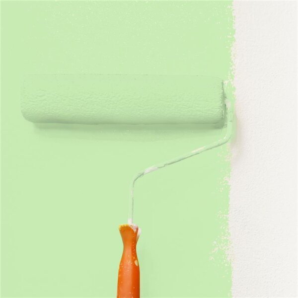 Wandfarbe Matt NCS-S-0530-G30Y WALLCOVER Colors