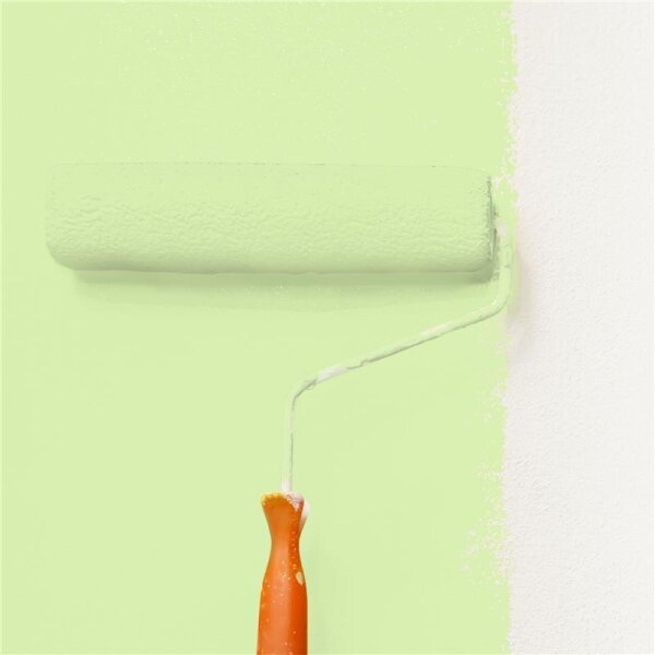 Wandfarbe Matt NCS-S-0530-G40Y WALLCOVER Colors