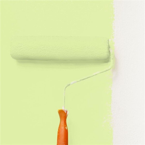 Wandfarbe Matt NCS-S-0530-G50Y WALLCOVER Colors