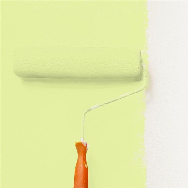 Wandfarbe Matt NCS-S-0530-G60Y WALLCOVER Colors