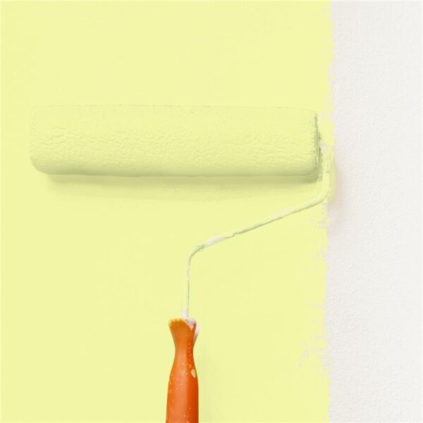 Wandfarbe Matt NCS-S-0530-G70Y WALLCOVER Colors