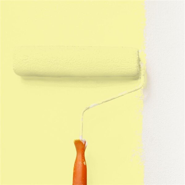 Wandfarbe Matt NCS-S-0530-G80Y WALLCOVER Colors