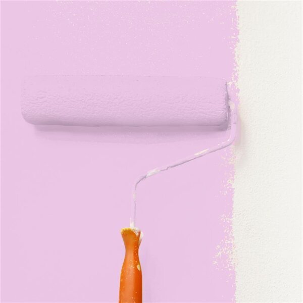 Wandfarbe Matt NCS-S-0530-R40B WALLCOVER Colors