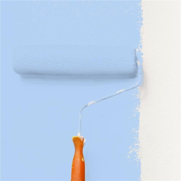 Wandfarbe Matt NCS-S-0530-R80B WALLCOVER Colors