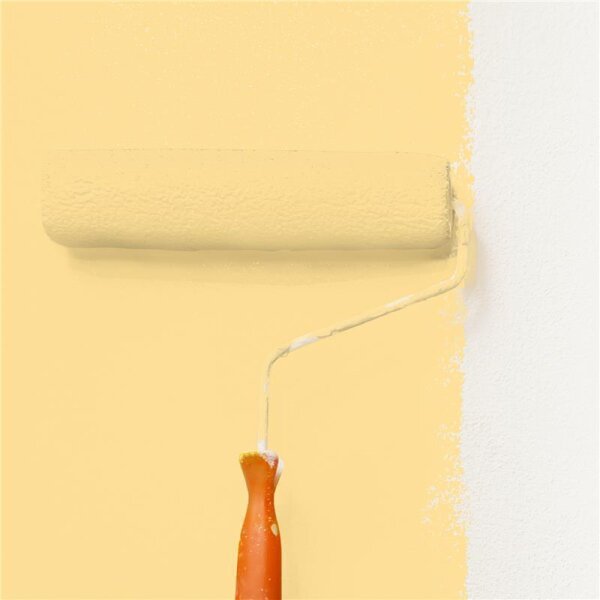 Wandfarbe Matt NCS-S-0530-Y10R WALLCOVER Colors