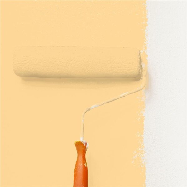 Wandfarbe Matt NCS-S-0530-Y20R WALLCOVER Colors
