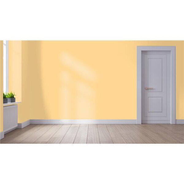 Wandfarbe Matt NCS-S-0530-Y20R WALLCOVER Colors