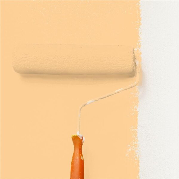 Wandfarbe Matt NCS-S-0530-Y30R WALLCOVER Colors